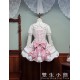 Twin Bears Frosting Sugar Rabbit Salopette and JSK(1st Pre-Order/2 Colours/Full Payment Without Shipping)